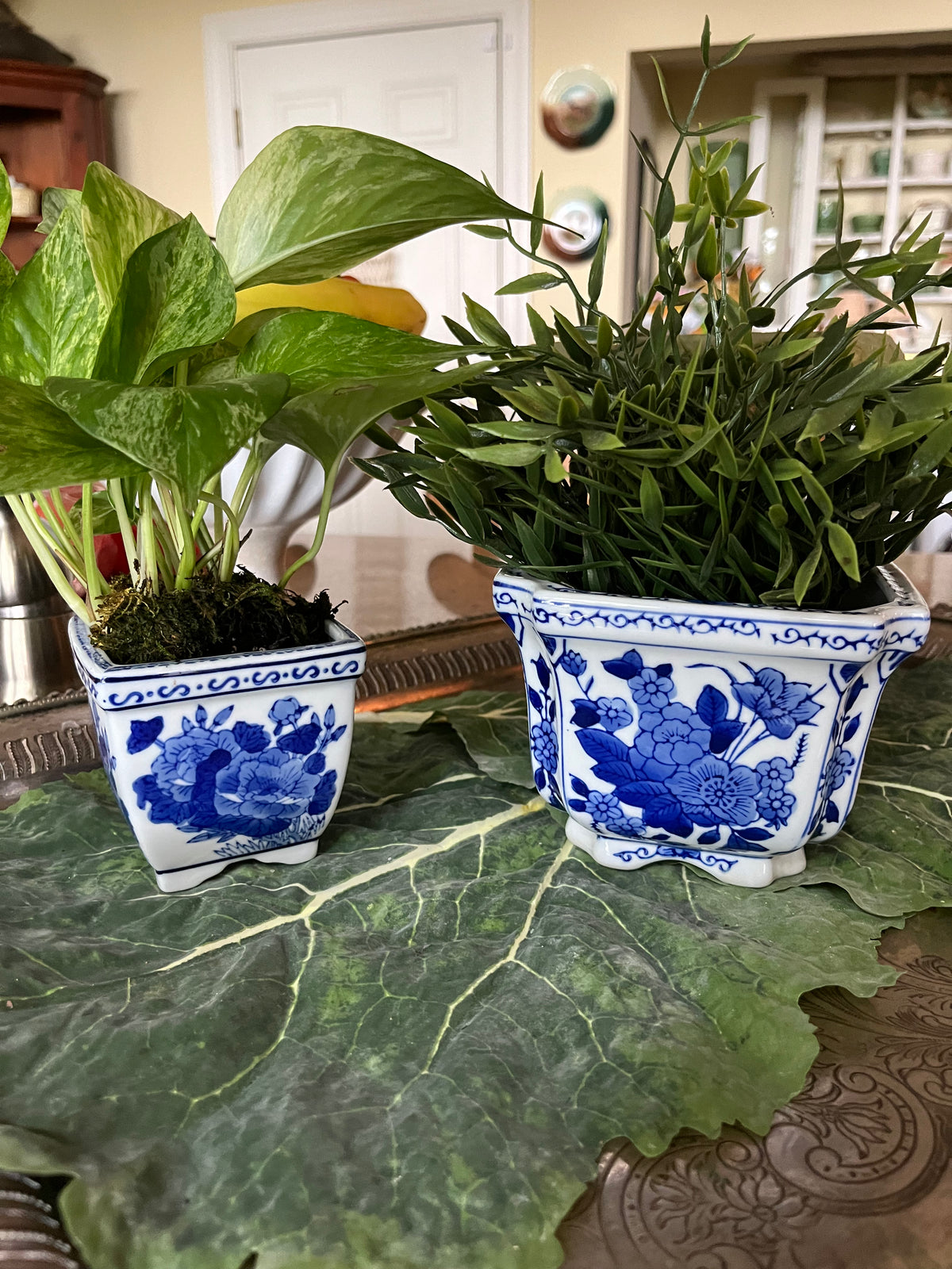 Pair of Blue& White Square Planters